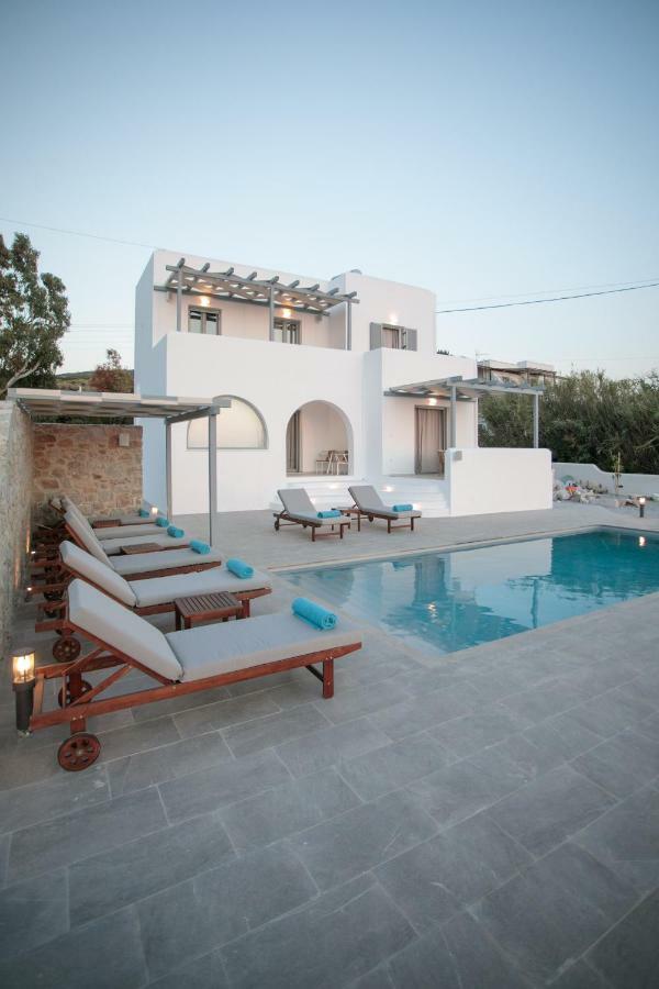 Naxos Infinity Villa And Suites Galanado Exteriör bild