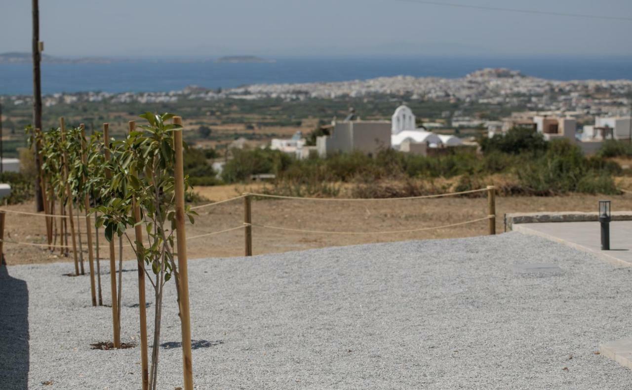 Naxos Infinity Villa And Suites Galanado Exteriör bild
